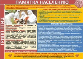 Изображение для новости Изображение для новости